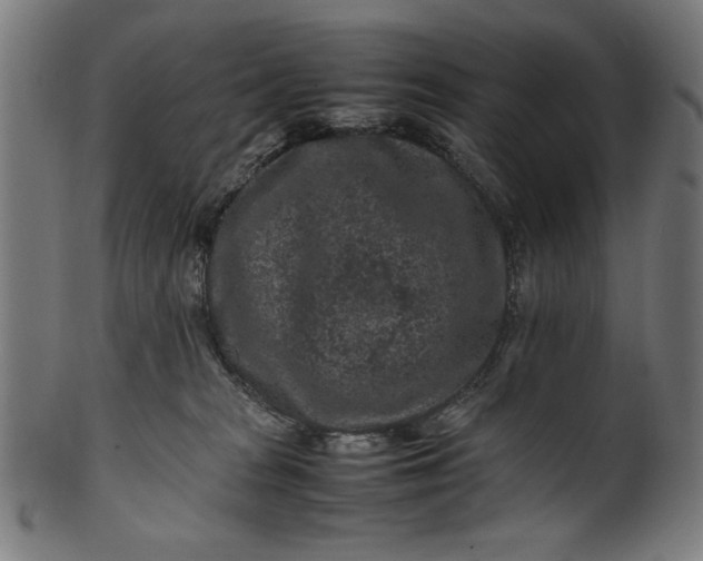 X0000099940277200806061525