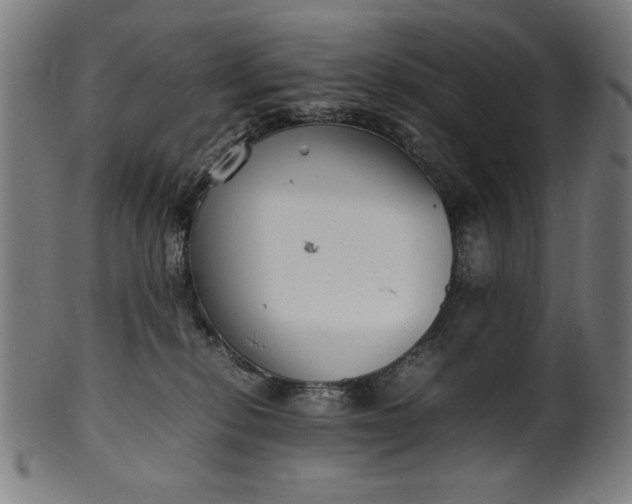 X0000099940278200806061525