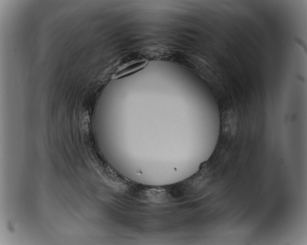 X0000099940279200806061525