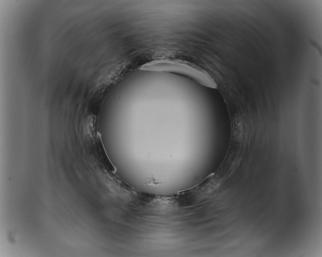 X0000099940280200806061525