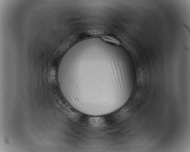 X0000099940281200806061525