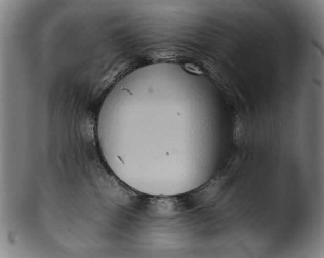 X0000099940282200806061525