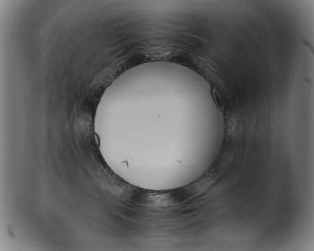 X0000099940283200806061525