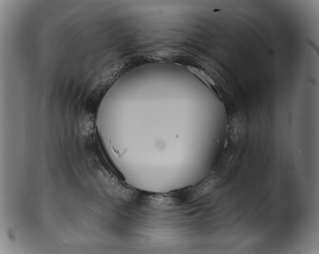 X0000099940284200806061525