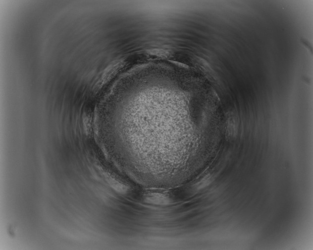 X0000099940285200806061525