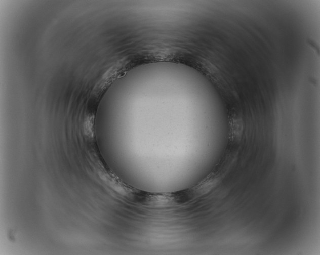 X0000099940286200806061526