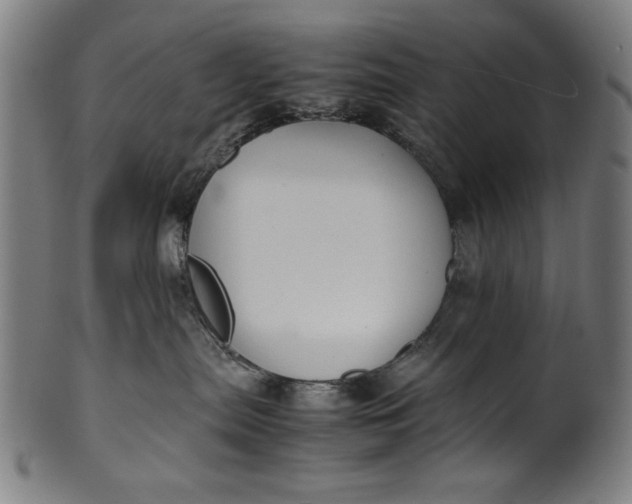 X0000099940287200806061526