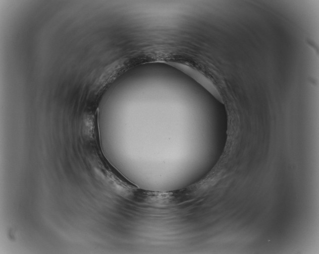 X0000099940288200806061526