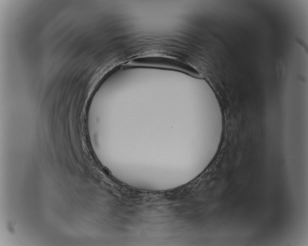 X0000099940289200806061525