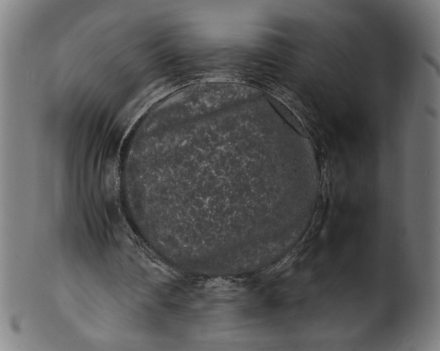 X0000099940290200806061525