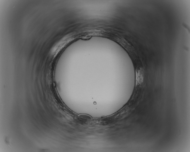 X0000099940291200806061525