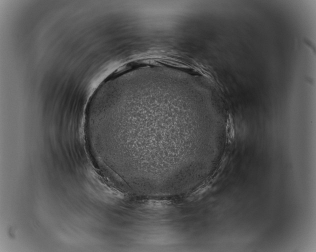 X0000099940292200806061525