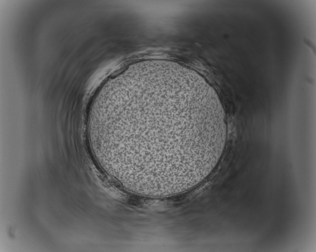 X0000099940293200806061525