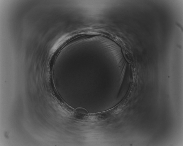 X0000099940295200806061525