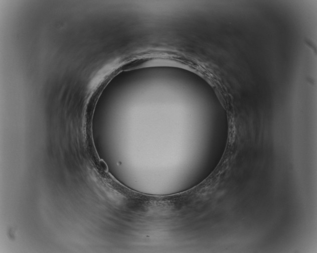X0000099940296200806061525