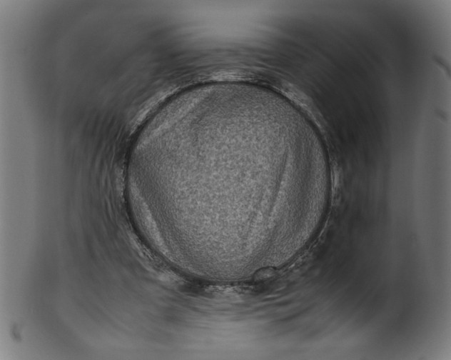 X0000099940297200806061525