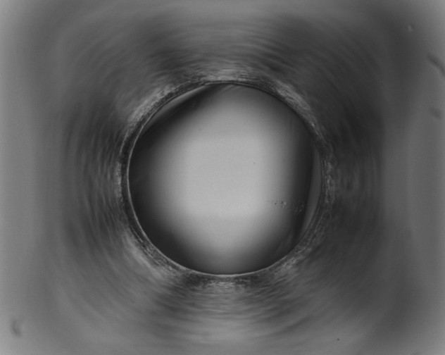X0000099940298200806061525