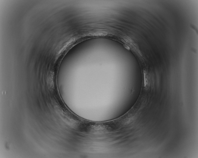 X0000099940300200806061525