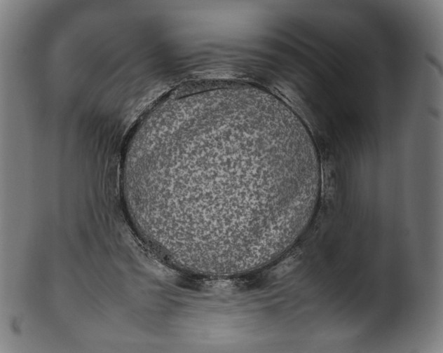 X0000099940301200806061525