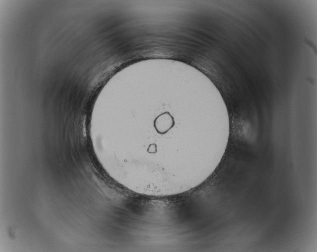X0000099940302200806061525