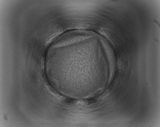 X0000099940303200806061525