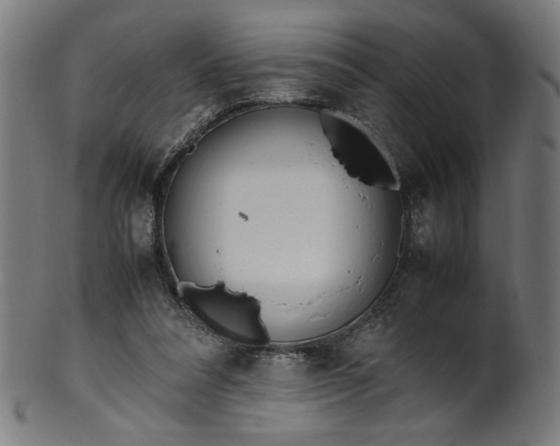 X0000099940304200806061525