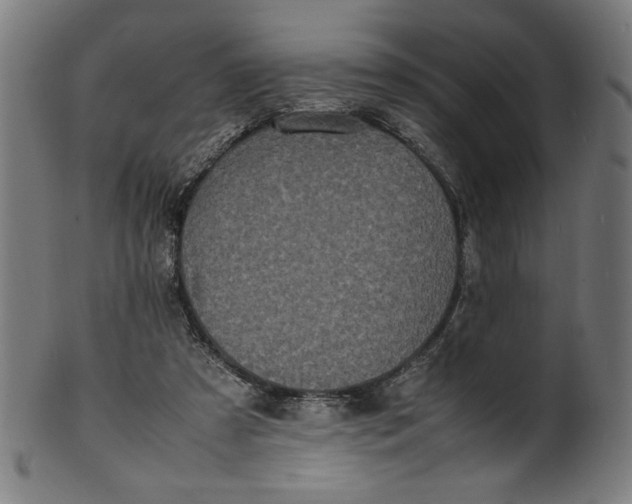 X0000099940305200806061525