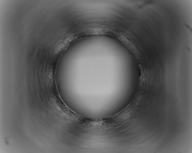 X0000099940306200806061525