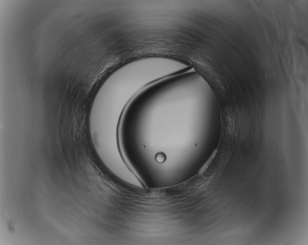 X0000099940308200806061525