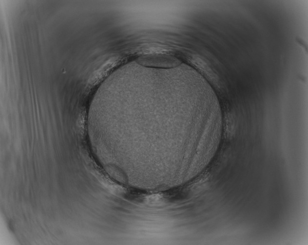 X0000099940309200806061525