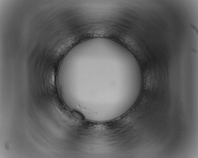 X0000099940310200806061525