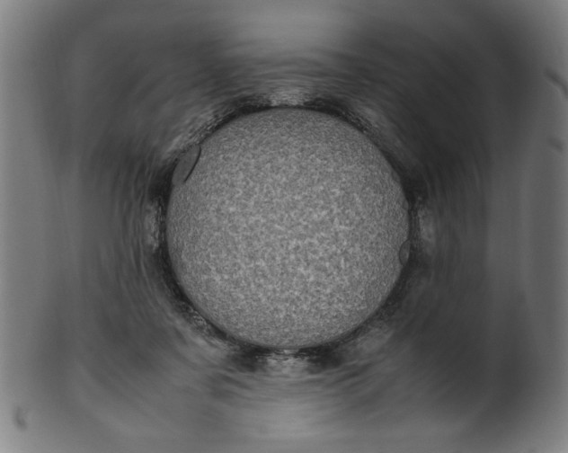 X0000099940311200806061525