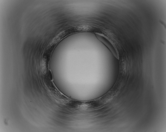 X0000099940312200806061524