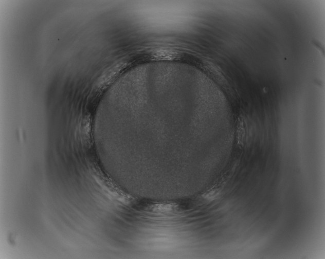 X0000099940314200806061524