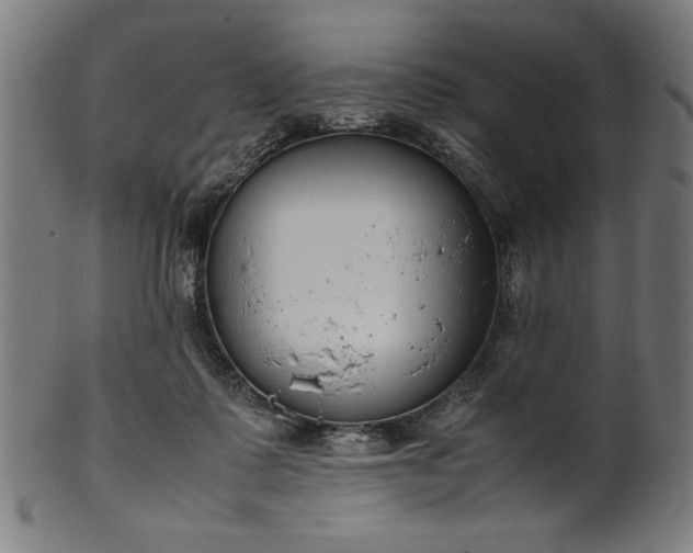 X0000099940315200806061524