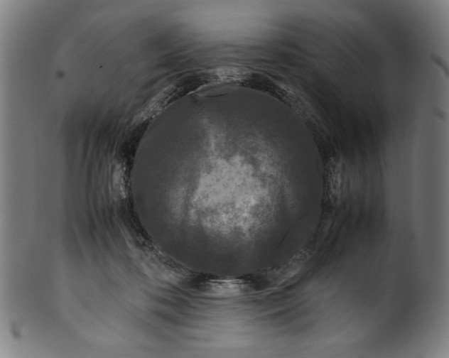 X0000099940316200806061524