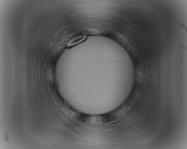 X0000099940317200806061524