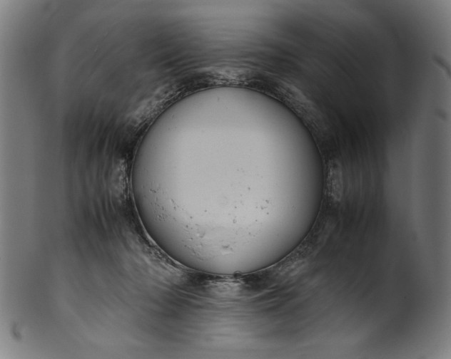 X0000099940318200806061524