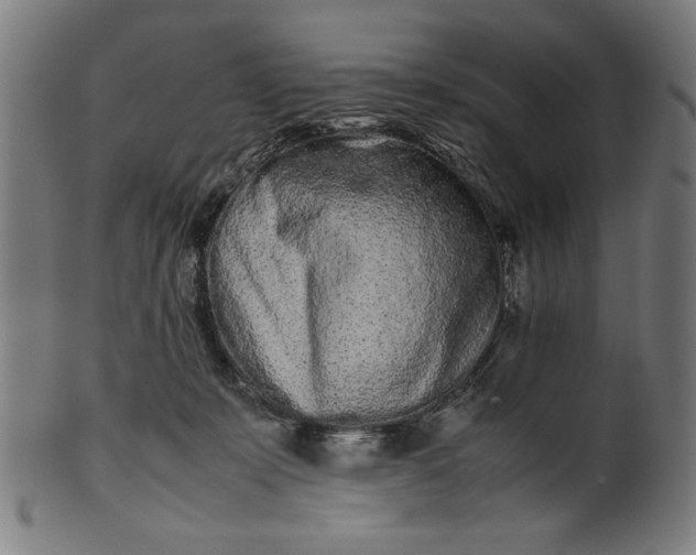 X0000099940319200806061524