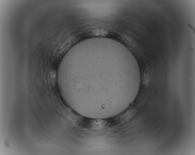 X0000099940321200806061524