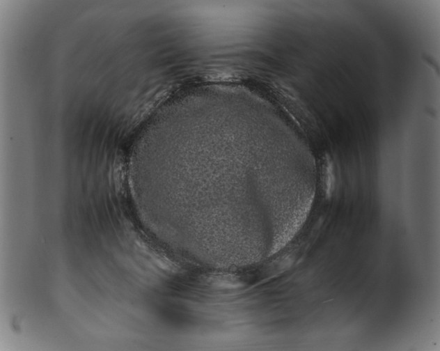 X0000099940322200806061524
