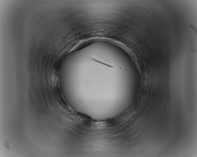 X0000099940324200806061524