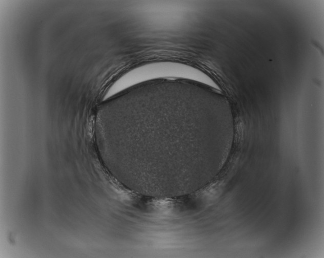 X0000099940325200806061524