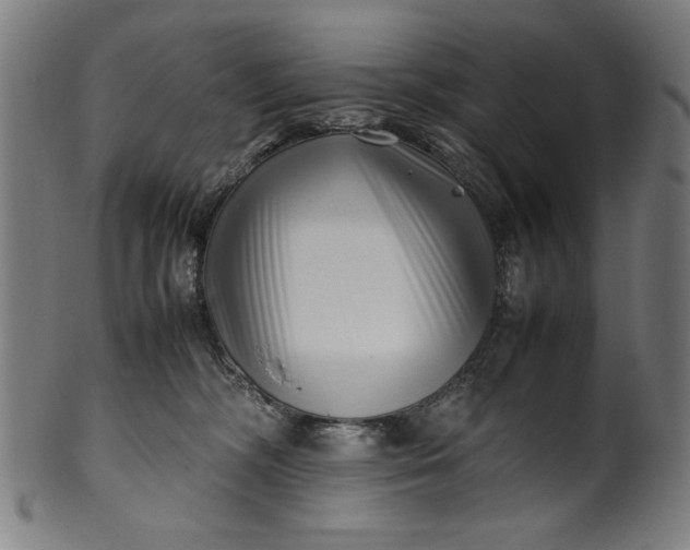X0000099940326200806061524