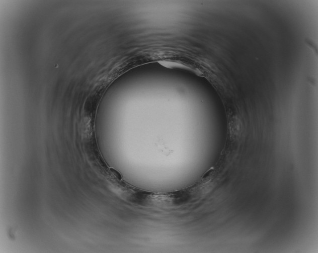 X0000099940327200806061524