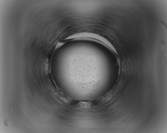 X0000099940328200806061524