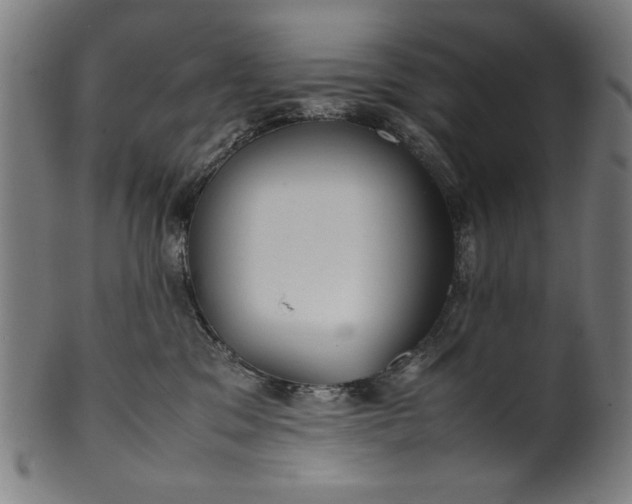 X0000099940329200806061524
