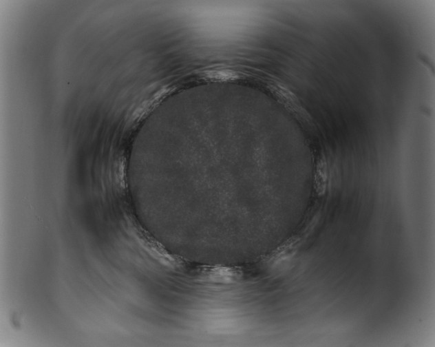 X0000099940330200806061524