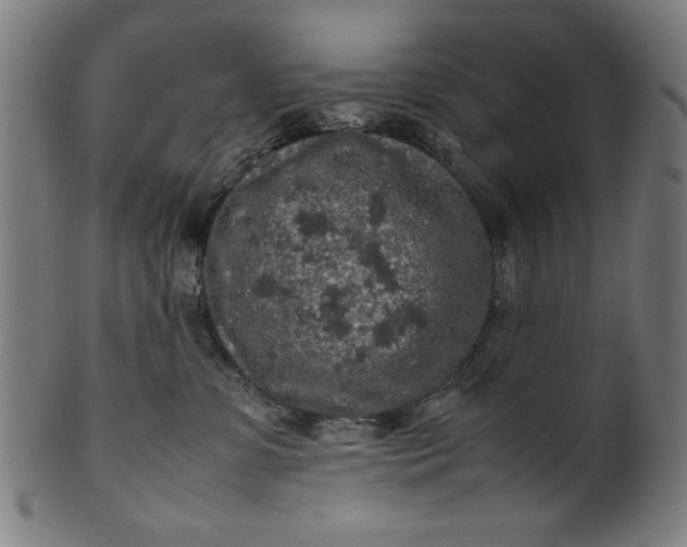 X0000099940331200806061524