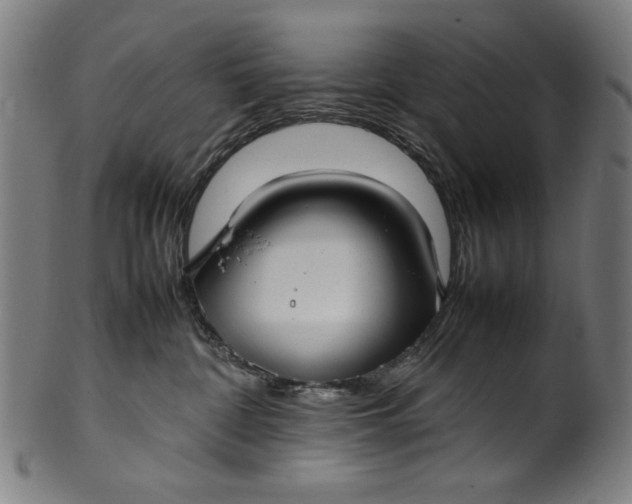 X0000099940332200806061524